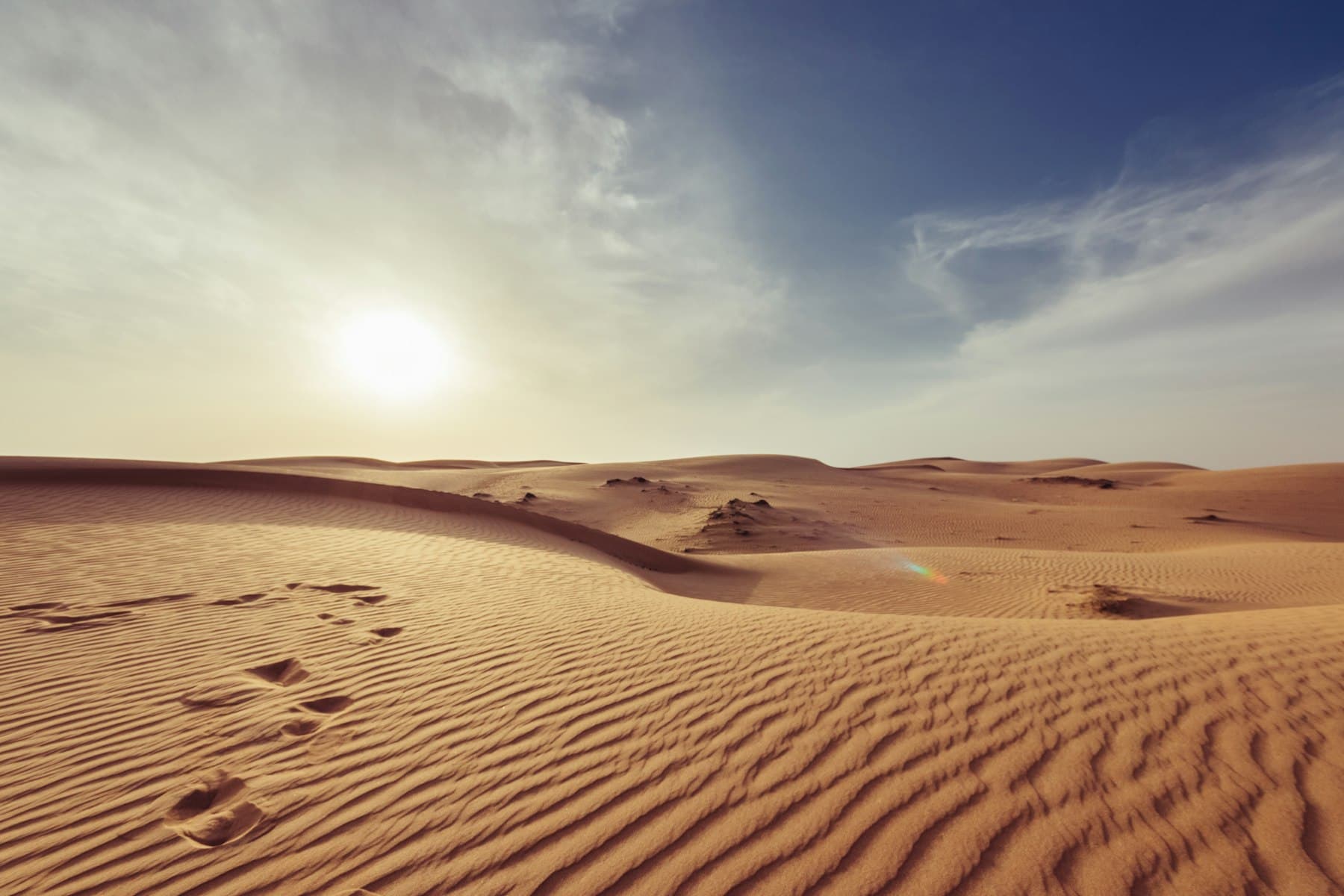 Sand dunes in warm evening light